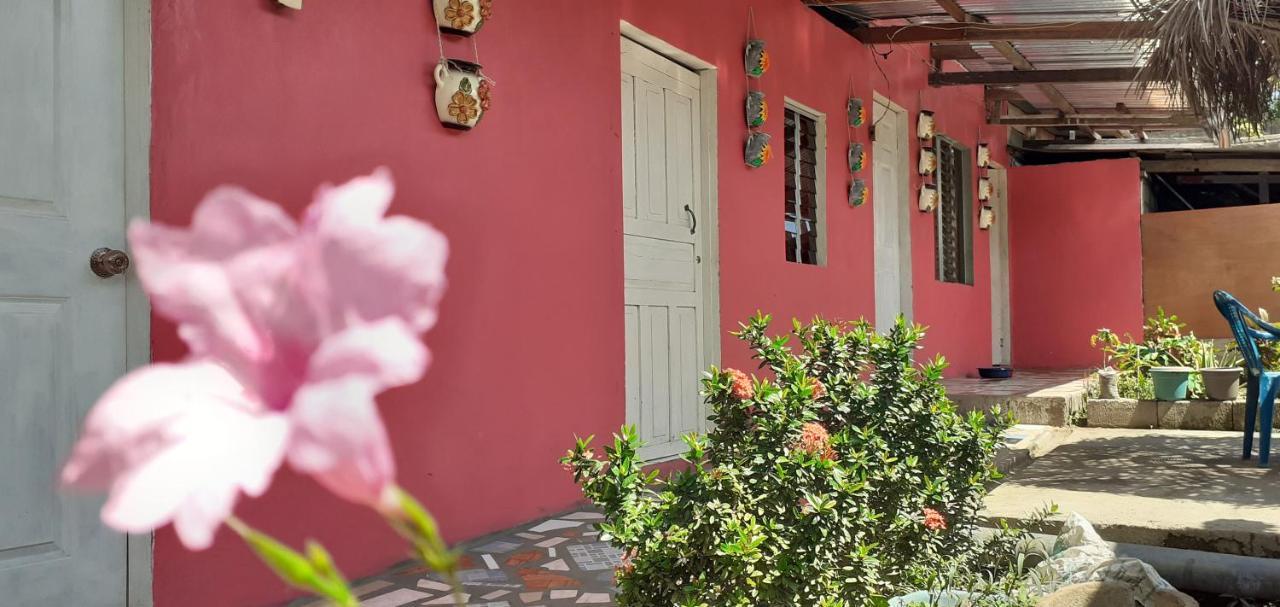Guest House Nena Moyogalpa Ngoại thất bức ảnh